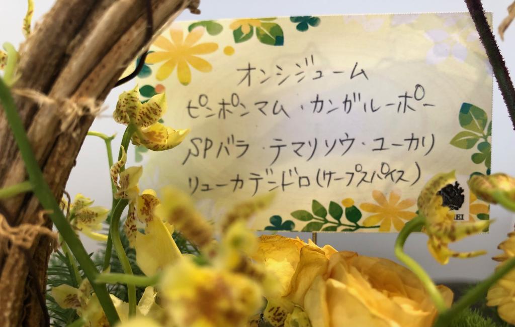 🍁今週のお花🍁