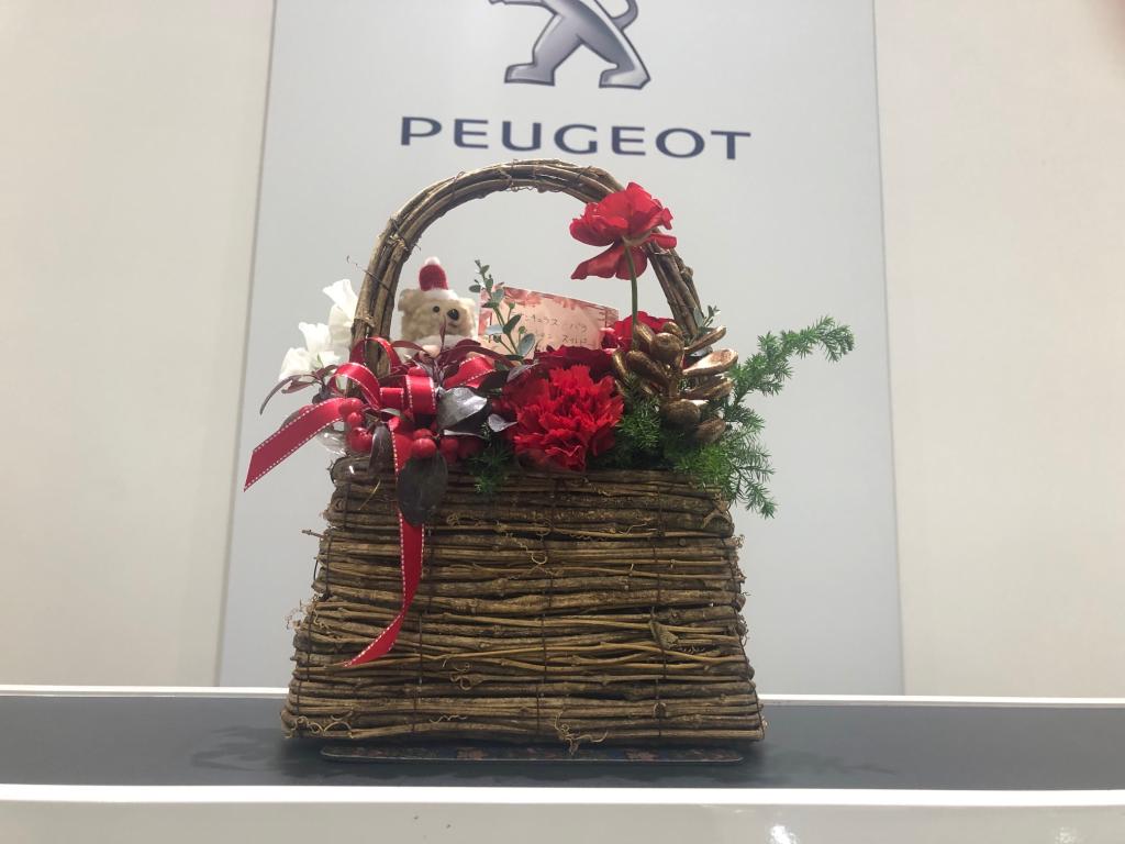 🎄今週のお花🎄
