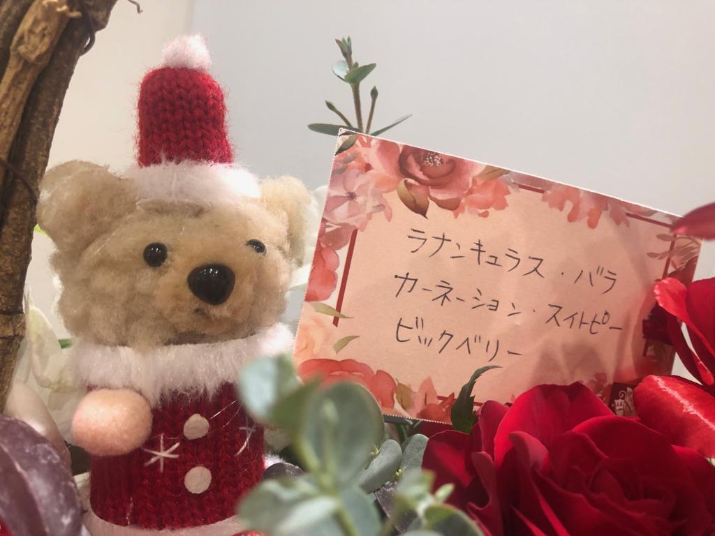 🎄今週のお花🎄