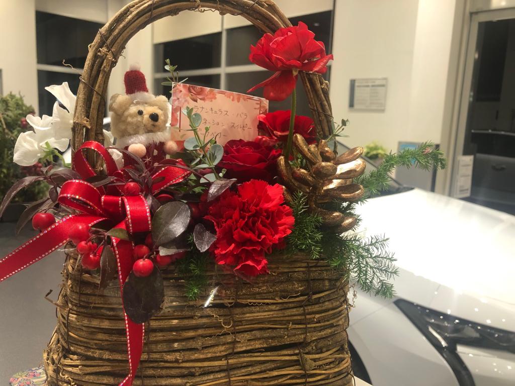 🎄今週のお花🎄