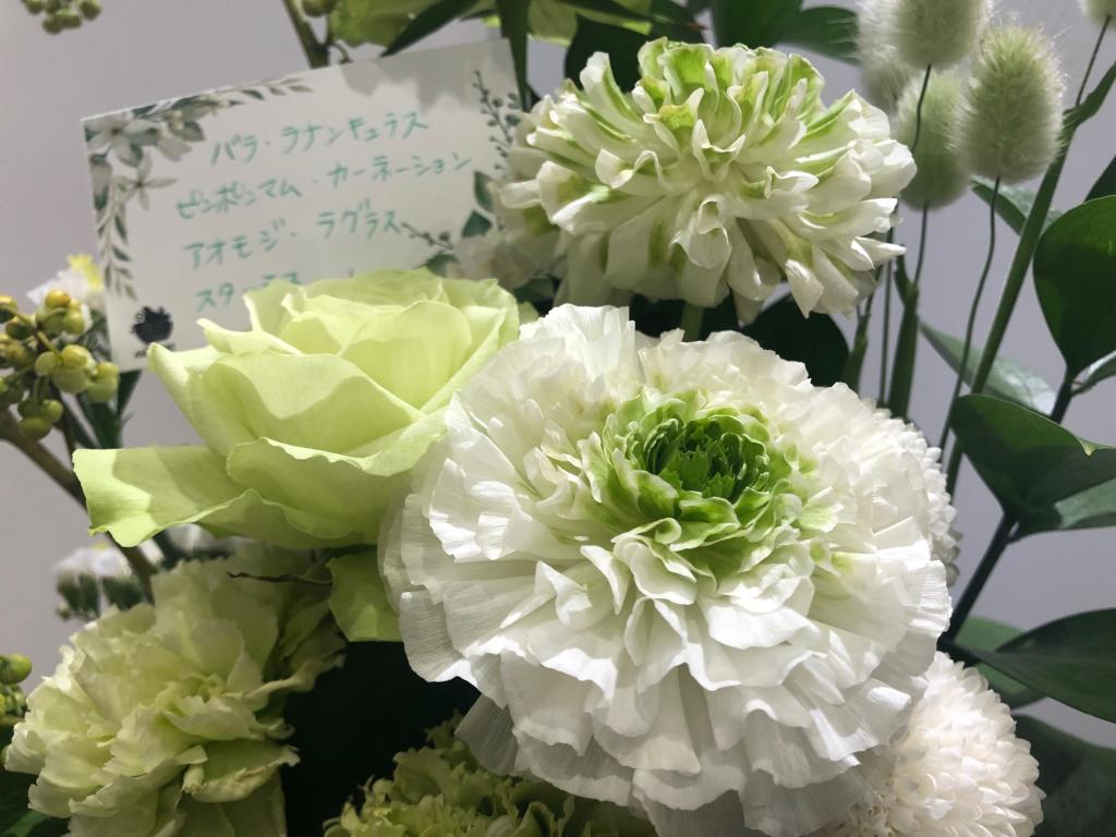 ✾今週のお花✾