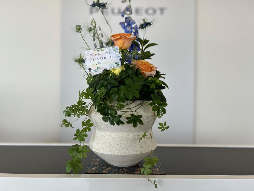 ✾今週のお花✾