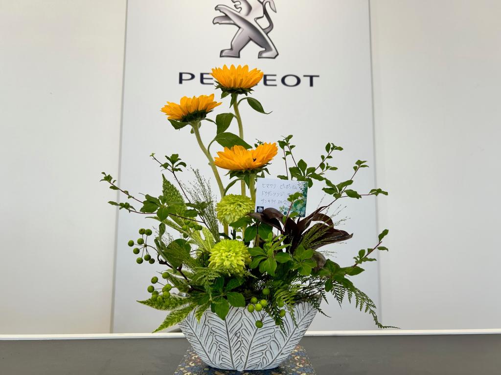 🌻今週のお花🌻