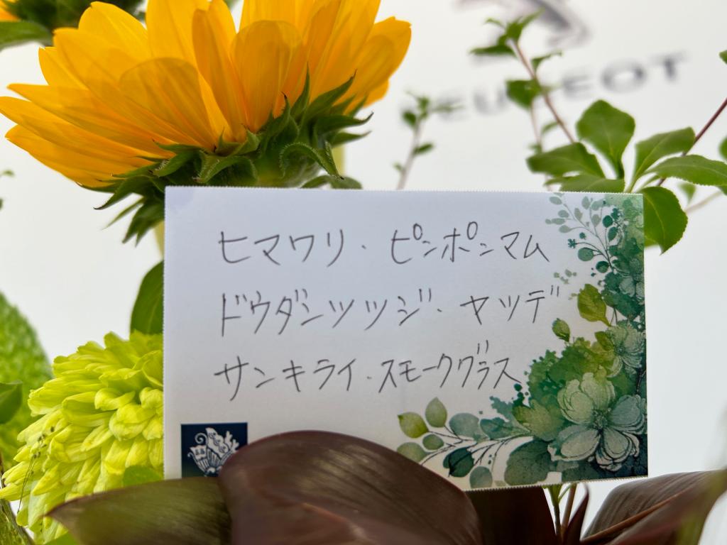 🌻今週のお花🌻