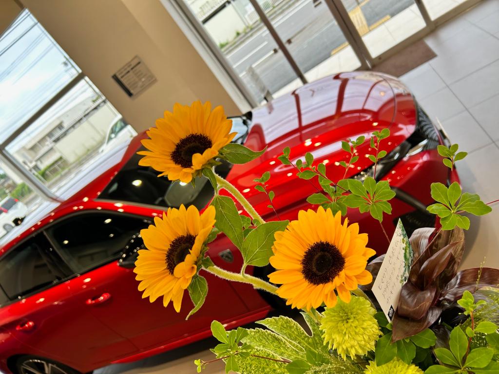 🌻今週のお花🌻