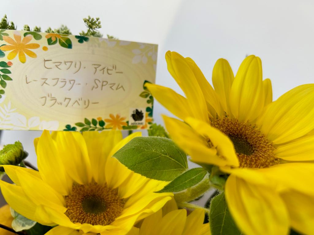 🌻今週のお花🌻