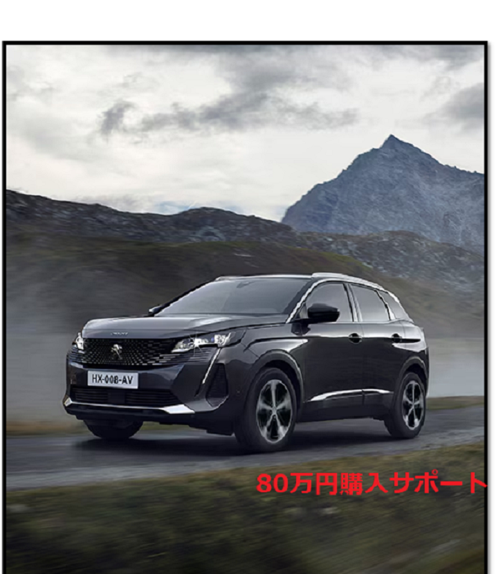 80万円購入サポートまだ間に合います！