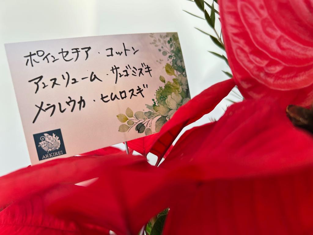 ✾今週のお花✾