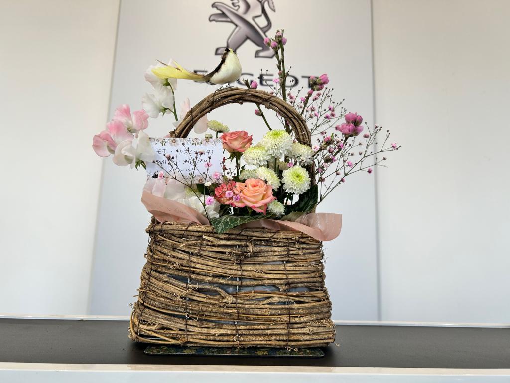 🎎今週のお花🎎