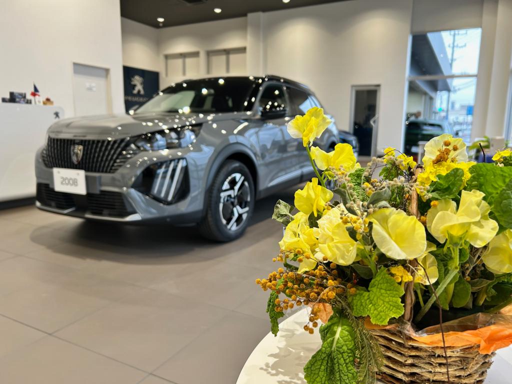 ✦ショールーム展示車入れ替えました✦