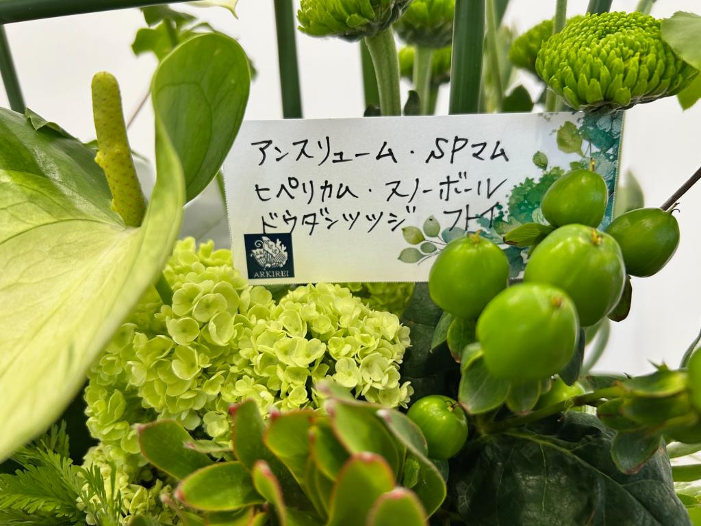 ❁今週のお花❁