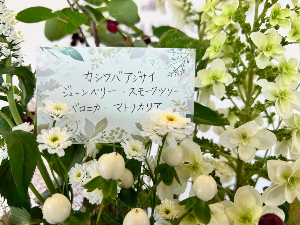 🌼今週のお花🌼