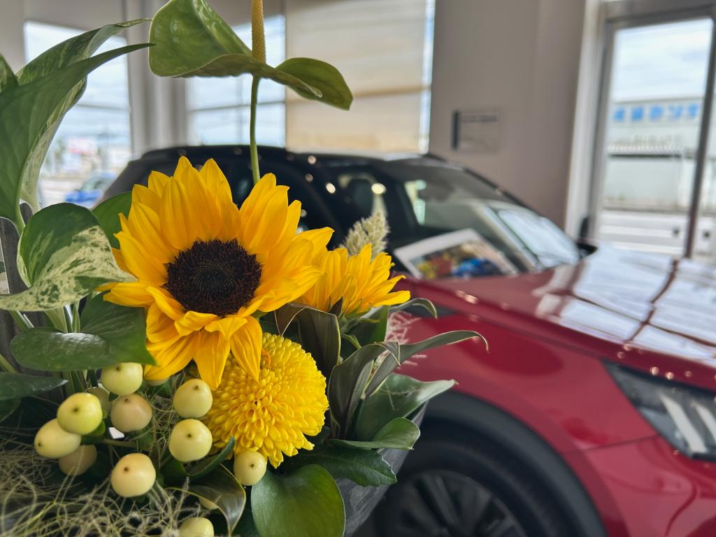 🌻今週のお花🌻