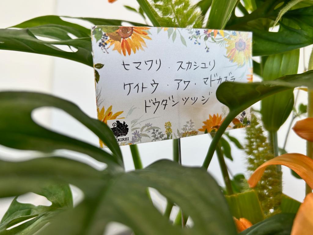 🌻今週のお花🌻
