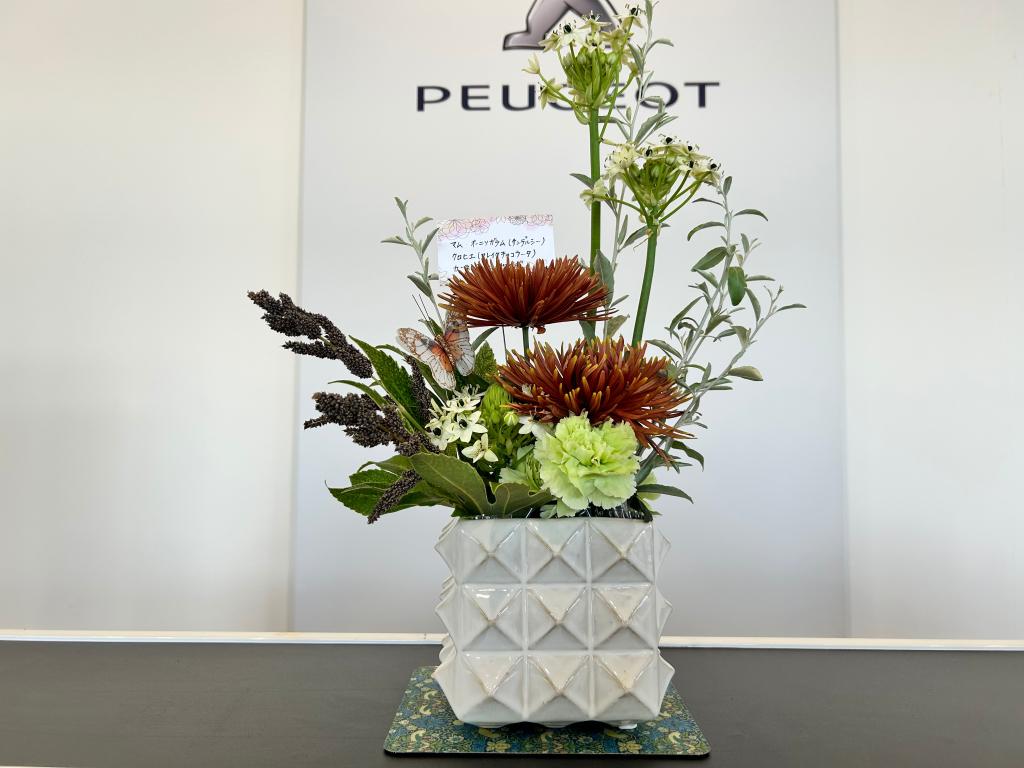 🌼今週のお花🌼