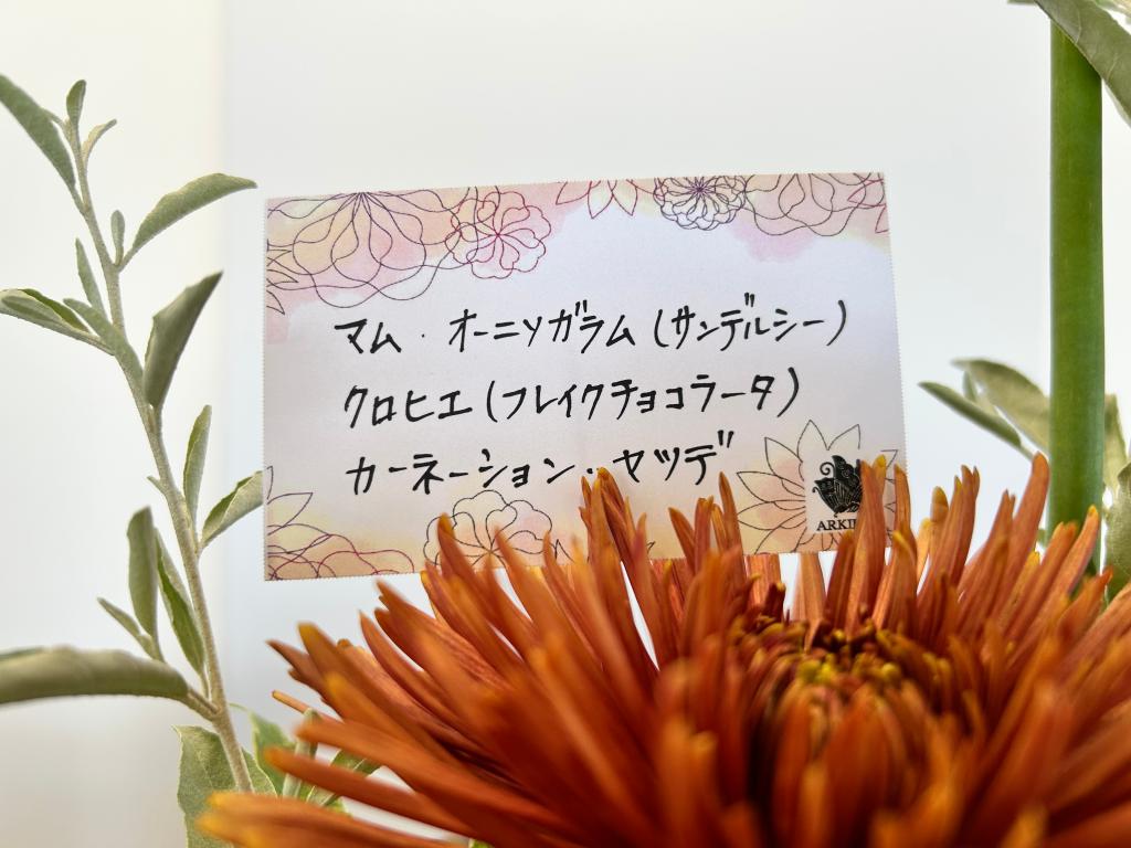 🌼今週のお花🌼