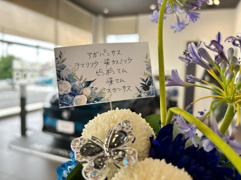 ✾今週のお花✾