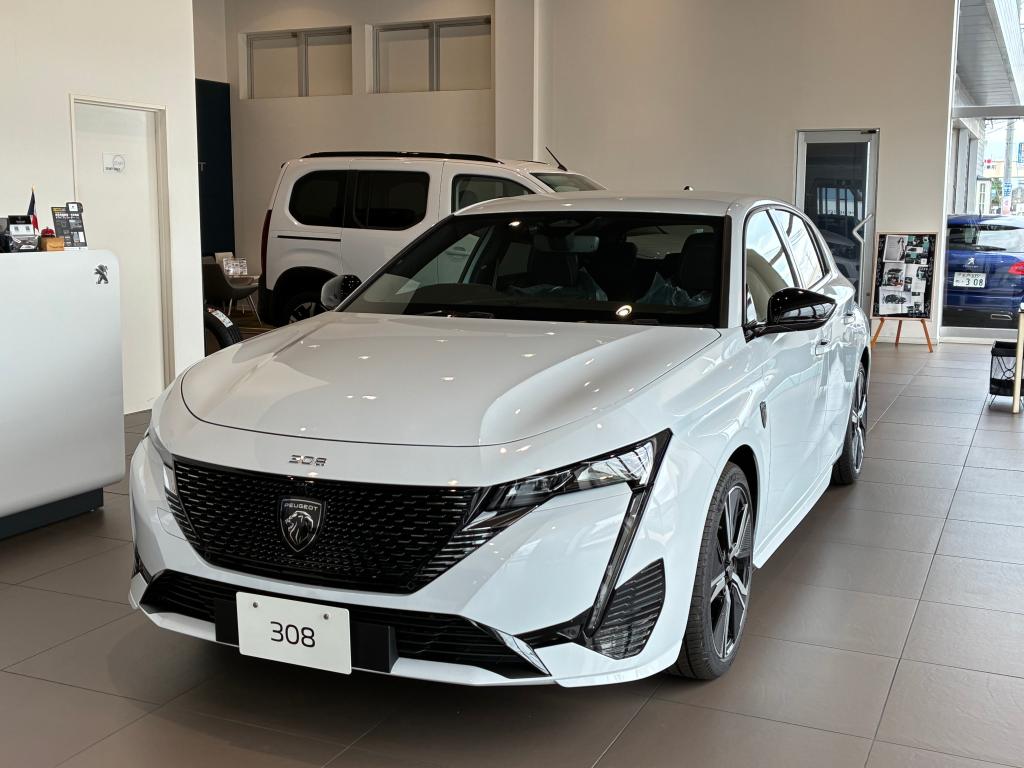 308白MHEV.jpg