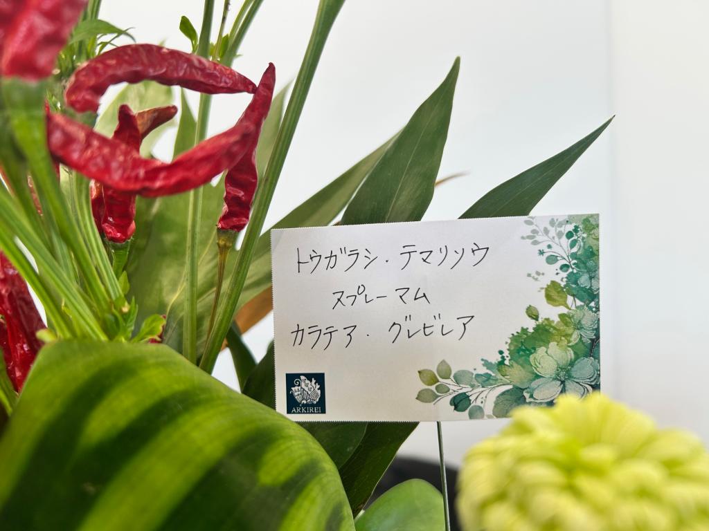 🌶今週のお花🌶