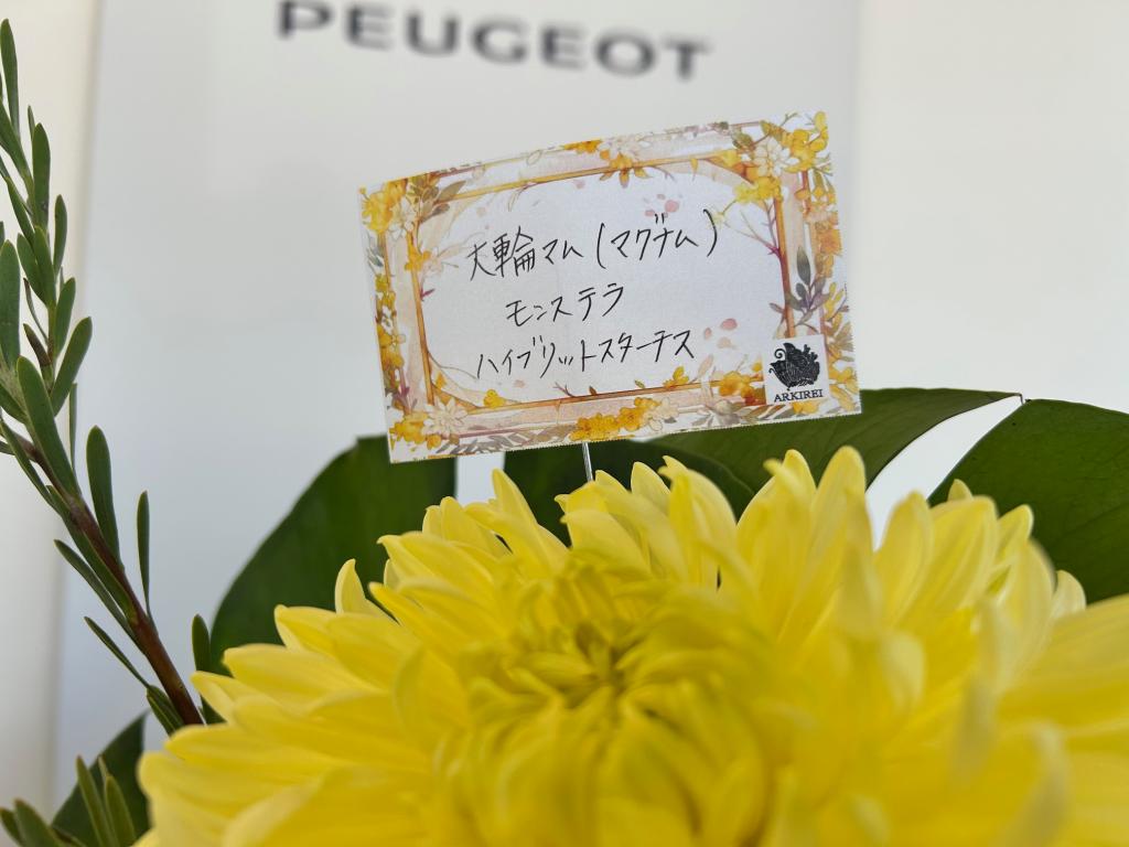 🍃今週のお花🍃