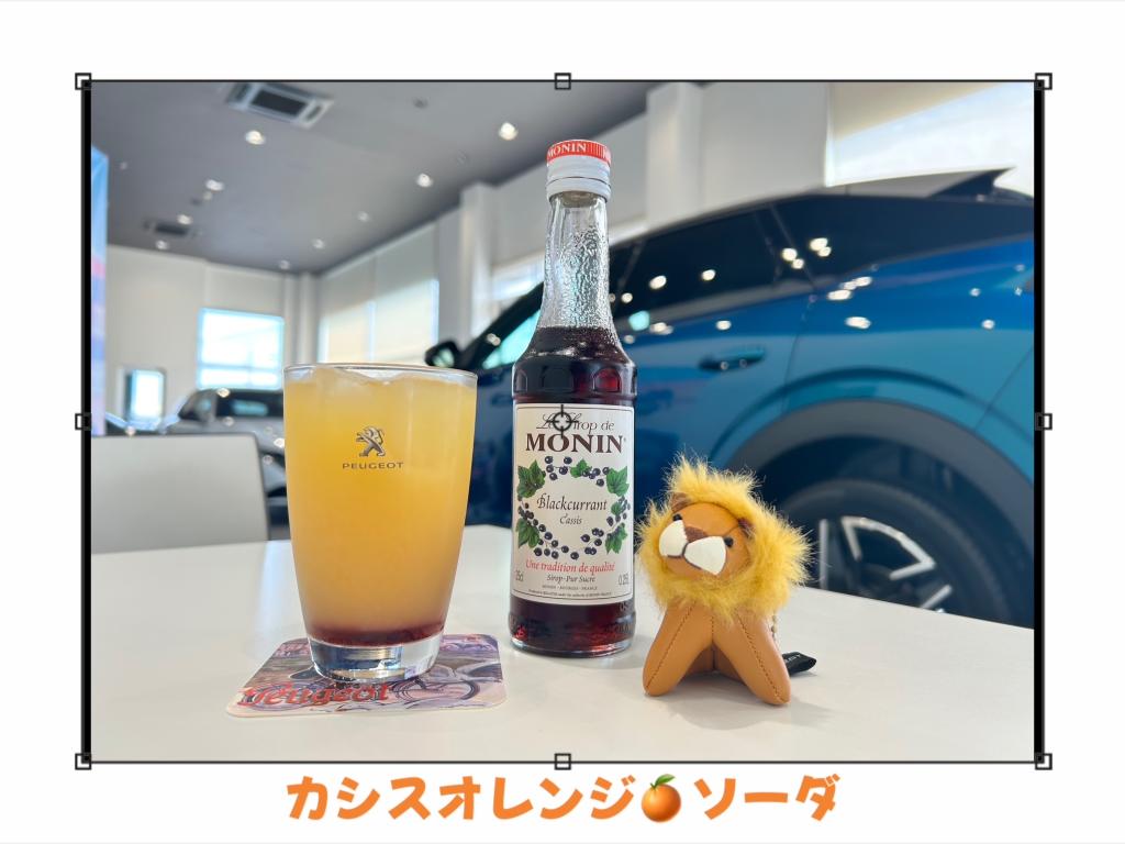 🍊New期間限定ドリンク🍊