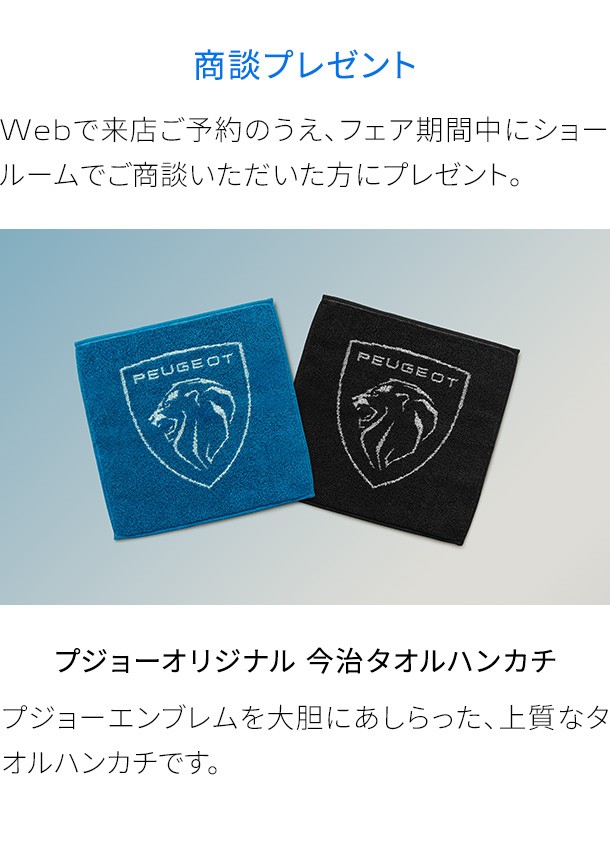 🦁RIFTER LONG GT Kiama Blue Edition 展示中🦁