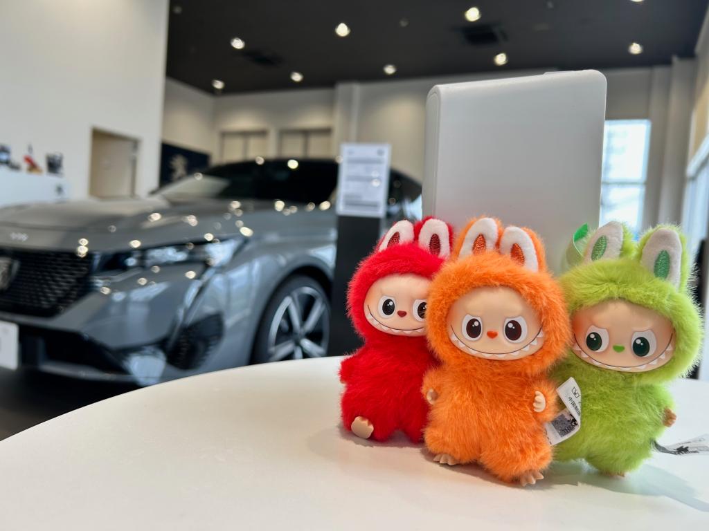 世界中の人気者ご来店！！☺