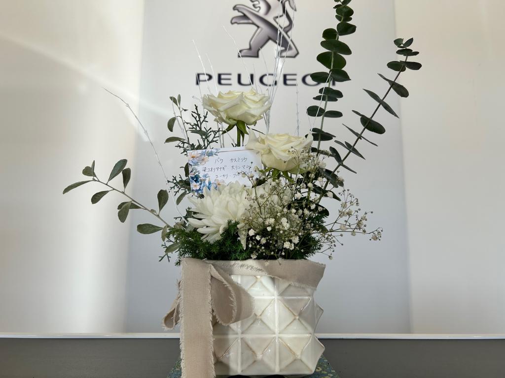 ✾今週のお花✾