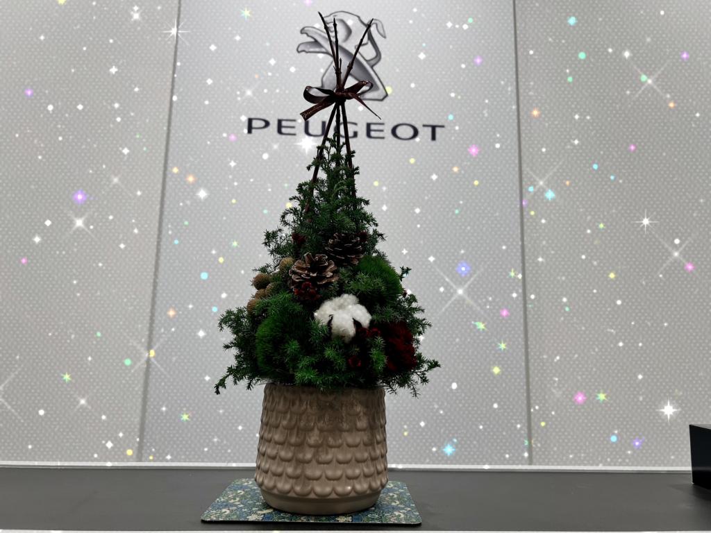 🎄今週のお花🎄