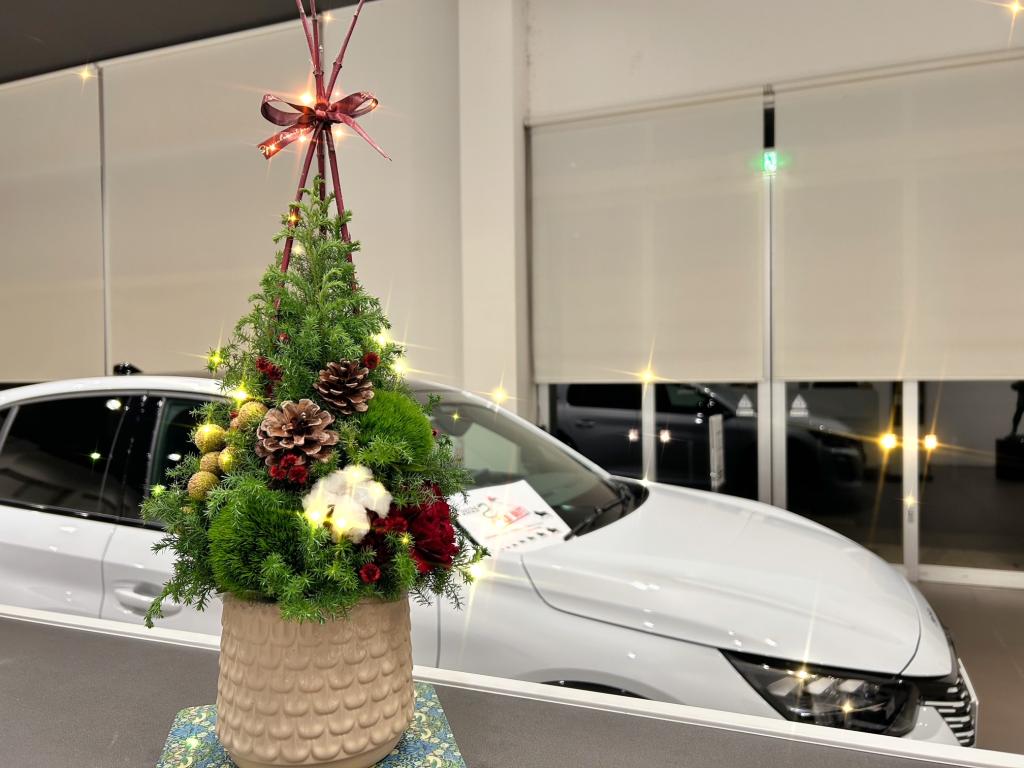 🎄今週のお花🎄