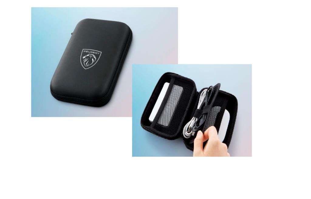 ✨PEUGEOT E-3008 デビューフェア✨