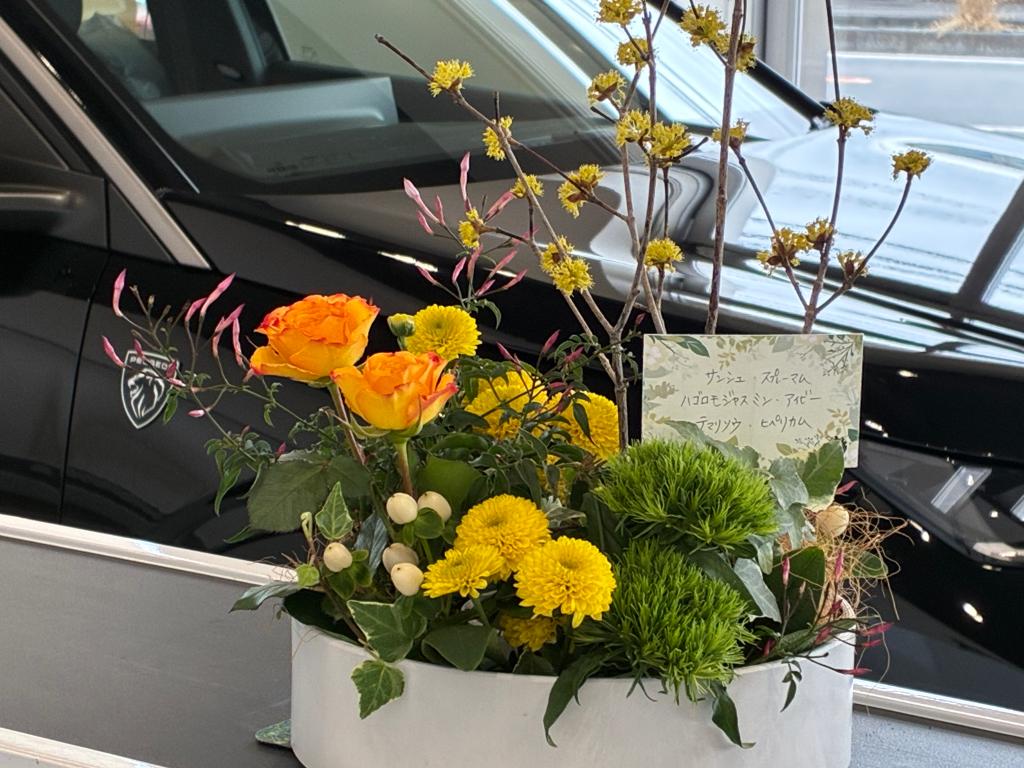 ✨NEW　E-3008　デビューフェア開催中✨