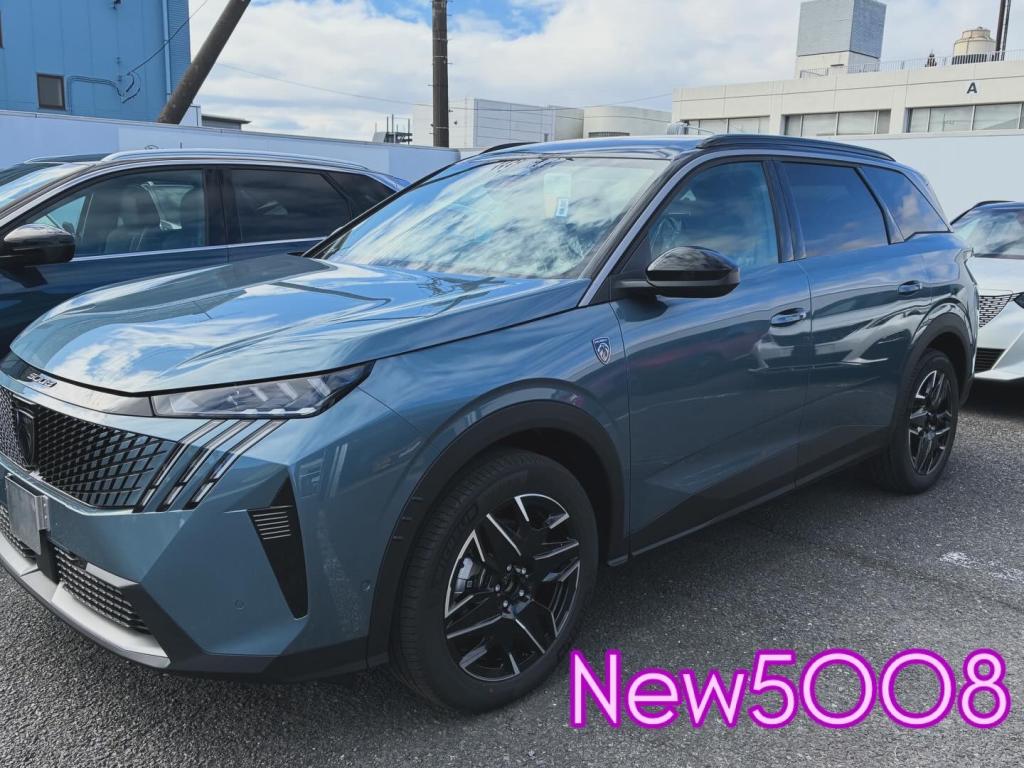 ✨NEW✨5008が入荷しました！🍀