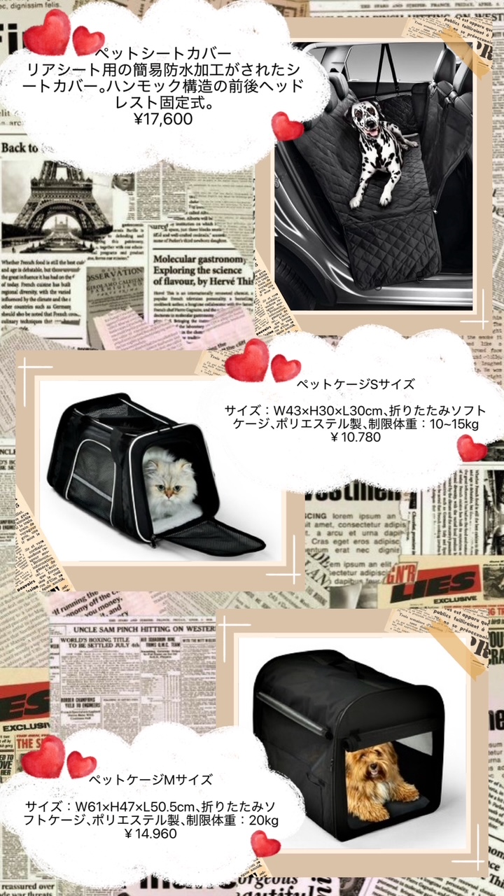 動物好きやペット愛好家様必見‼️👀プジョーアクセサリー✨