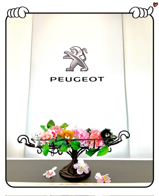 アクセサリーショーケースの模様替え🌸