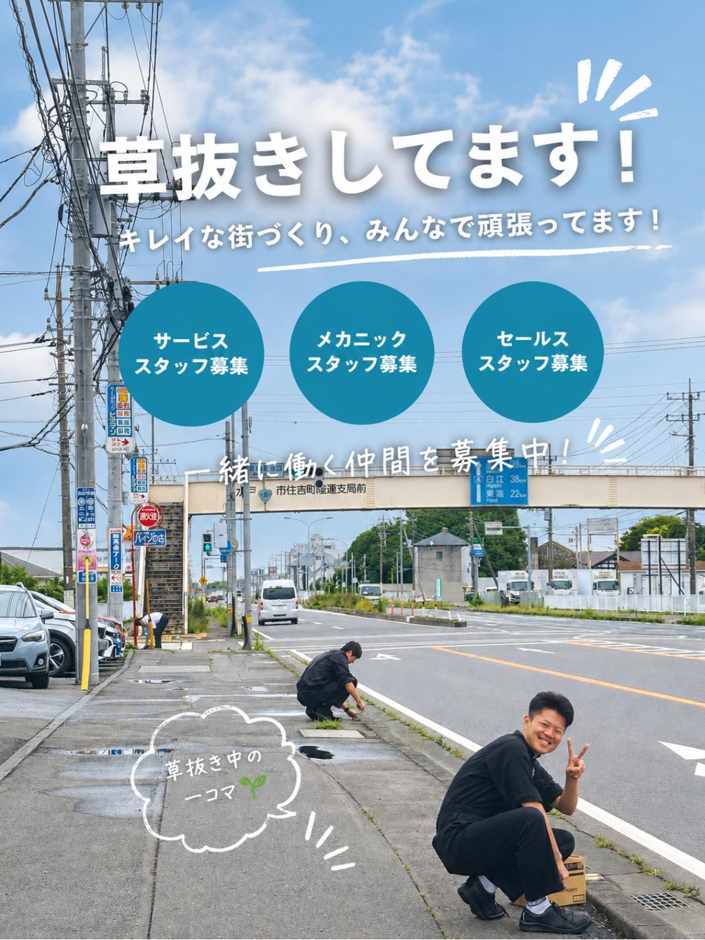 🌱**ショールーム周辺を草抜き中！**🌱