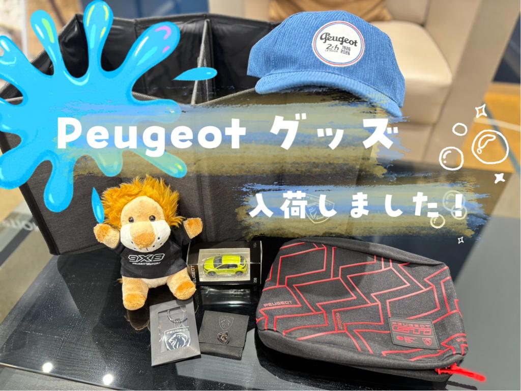 🦁💙可愛いグッズが届きました！💙🦁