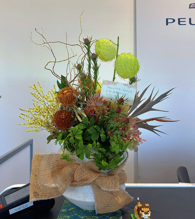 🌿PEUGEOT 水戸 10月のお花🌼