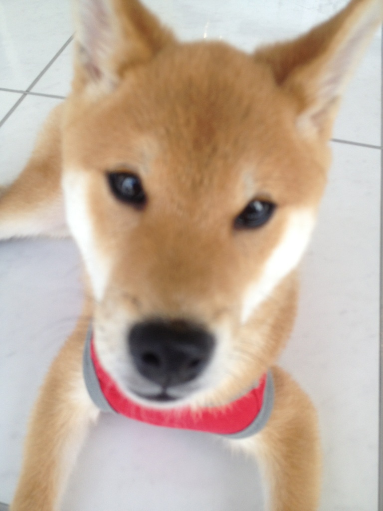 ☆お客様ご紹介☆