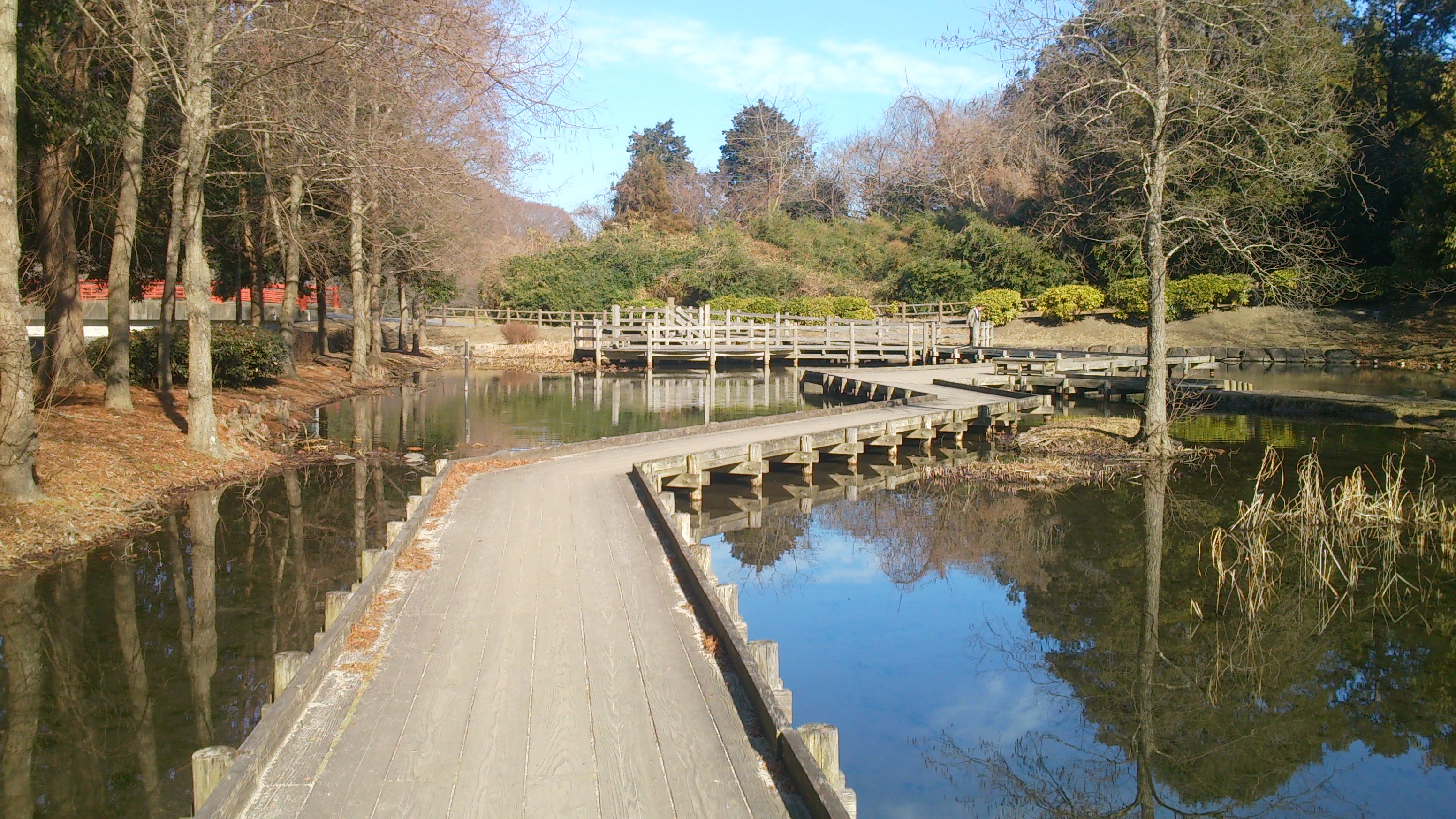 逆川緑地を紹介します。
