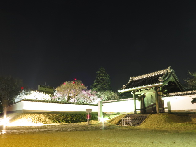 水戸・弘道館　ライトアップ