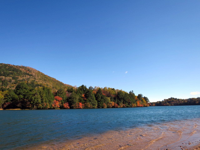 奥日光　湯ノ湖の紅葉が見頃です。