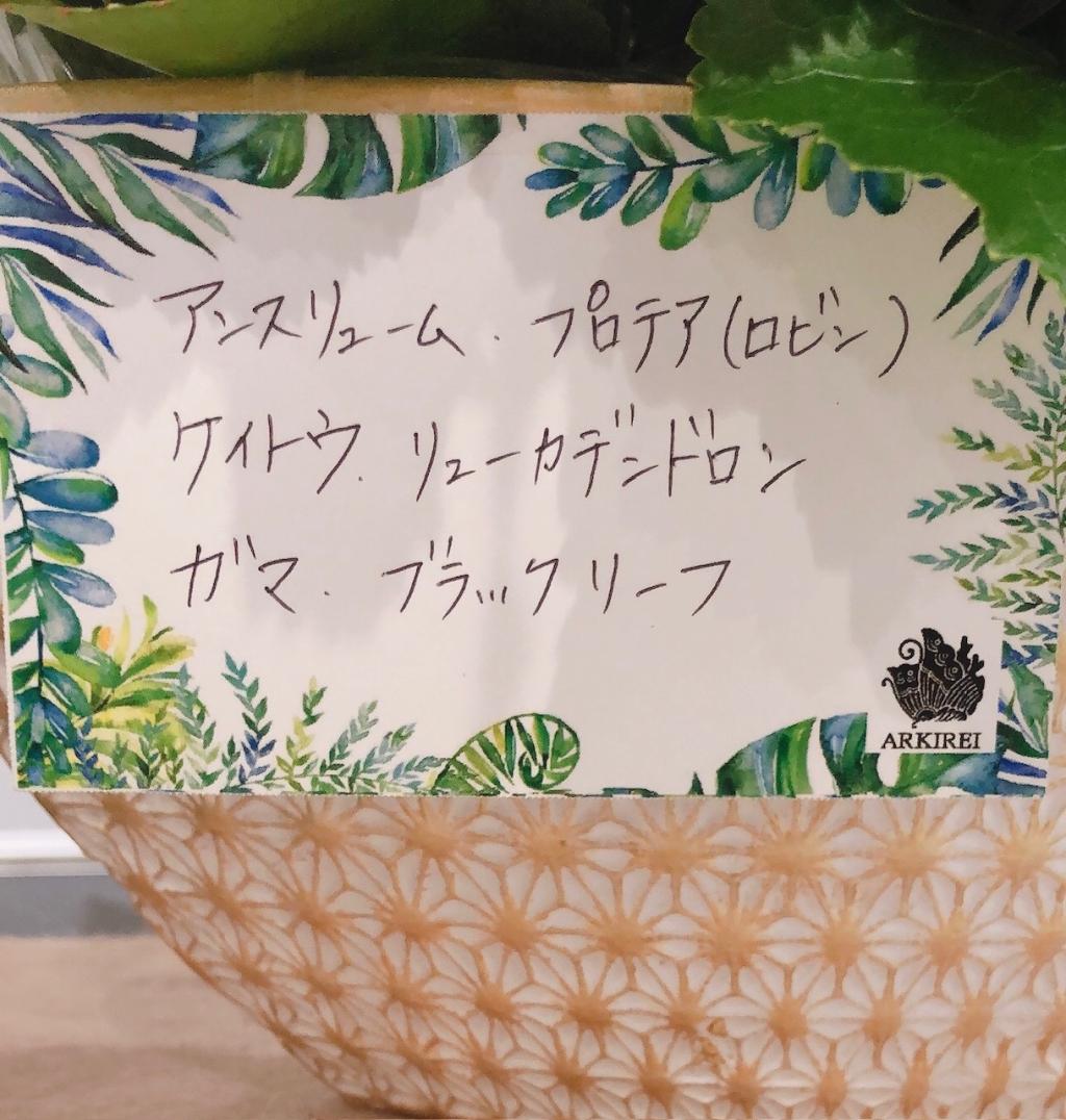 ✾今週のお花✾