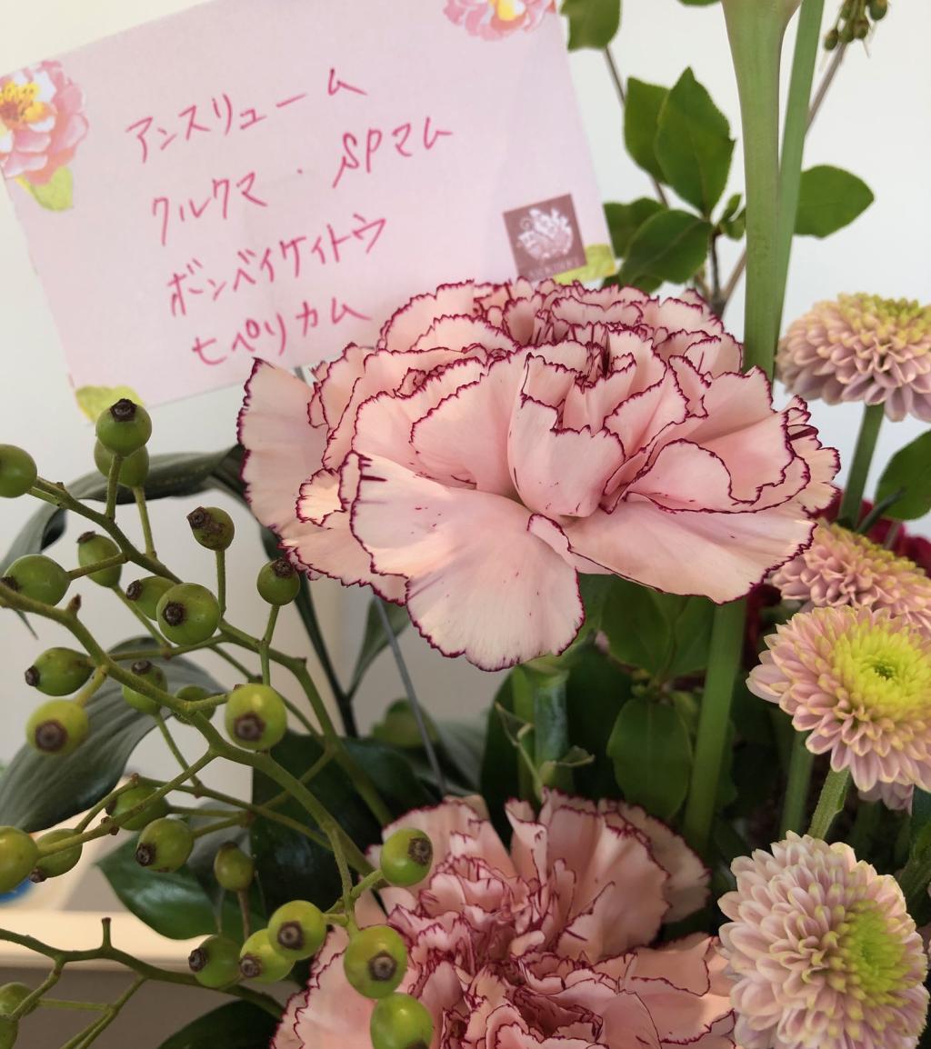 ❁今週のお花❁