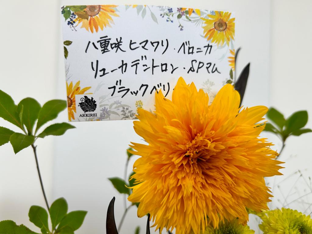 🍃今週のお花🍃