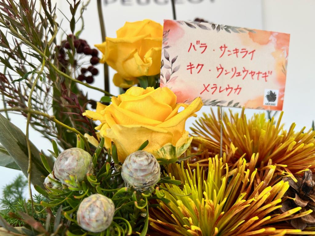 ✾今週のお花✾