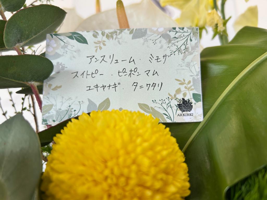 🌼今週のお花🌼