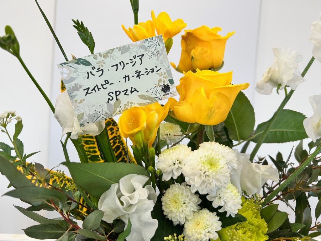 🌼今週のお花🌼