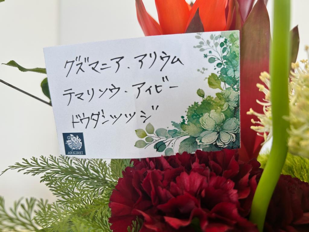 ✾今週のお花✾