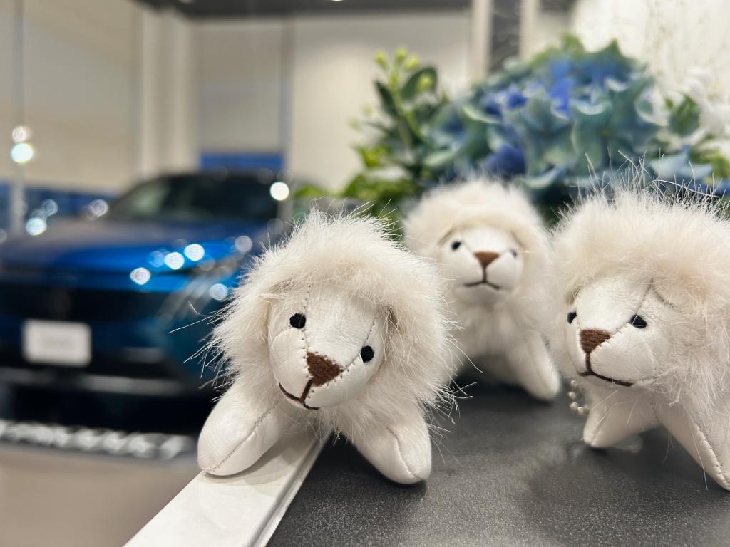 🦁NEW PEUGEOT3008 DEBUT FAIR　7月12・13日🦁 